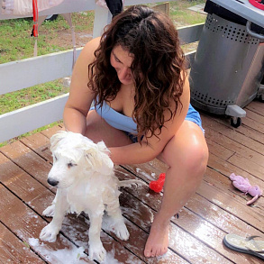 Pyrenean Mountain Dog