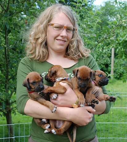 Bouquet of Puppies