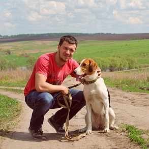 Russian Cavalry Hound