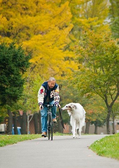 Walking a Russian Greyhound on a Bike