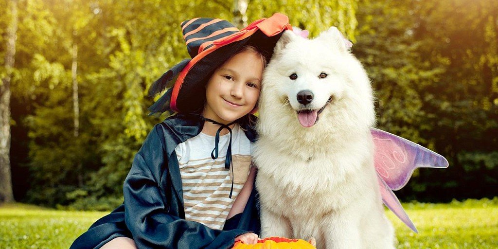 Samoyed with baby