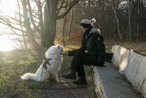 Samoyed with hostess