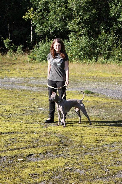 Thai Ridgeback with owner