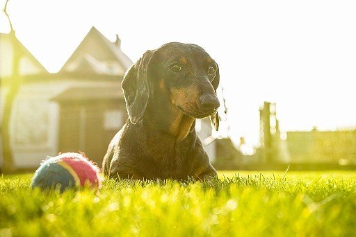 Shall we play ball? 