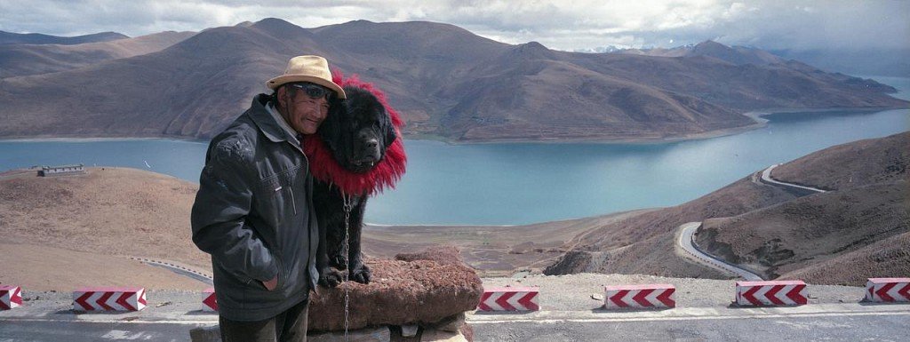 Tibetan Mastiff at home