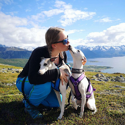 Two whippets with their owner