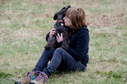 Zwergschnauzer with favorite owner