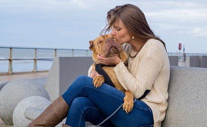 Sharpei with his mistress