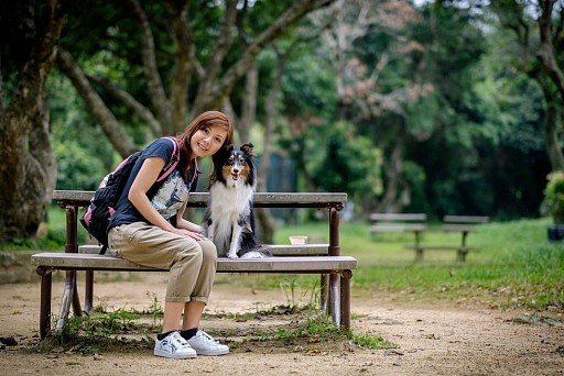 Sheltie with her favorite owner