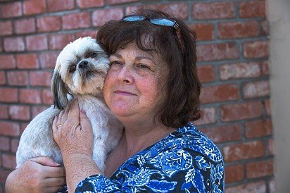 Shih Tzu with favorite owner