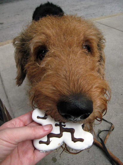 Oh, cookies! Yum