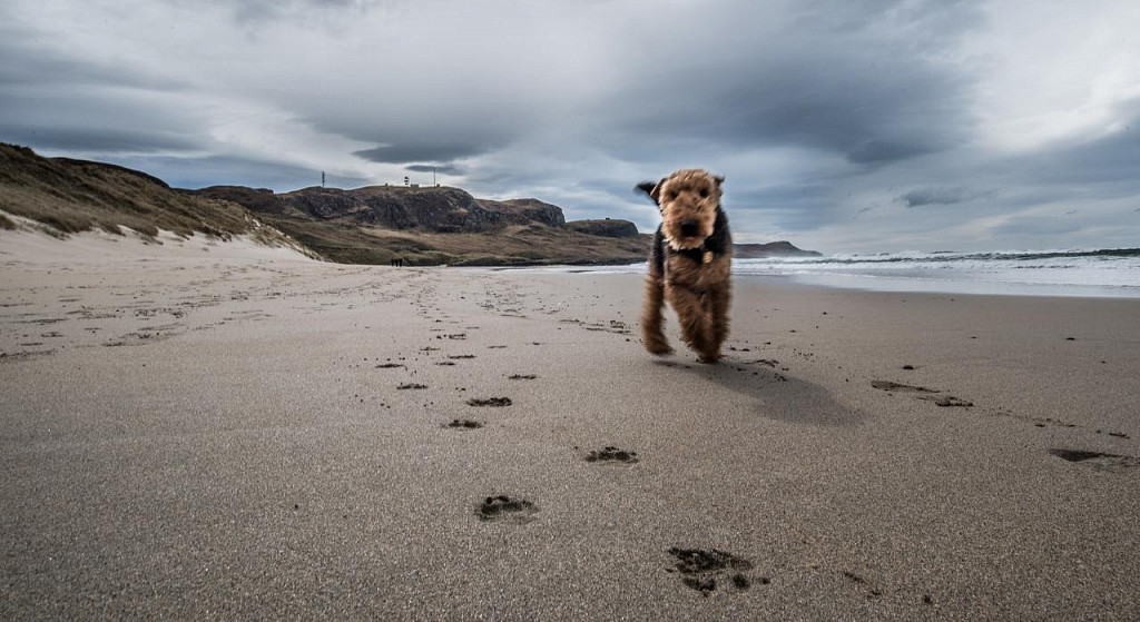 Beach Run