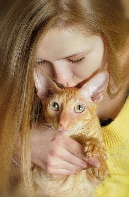 Cornish Rex with baby