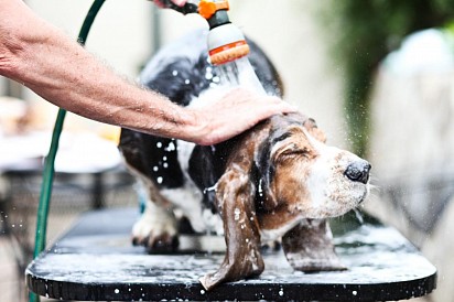 Washing the dirtbag