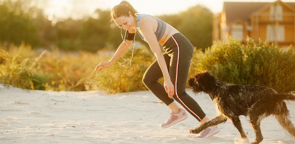 How to help your dog in heat