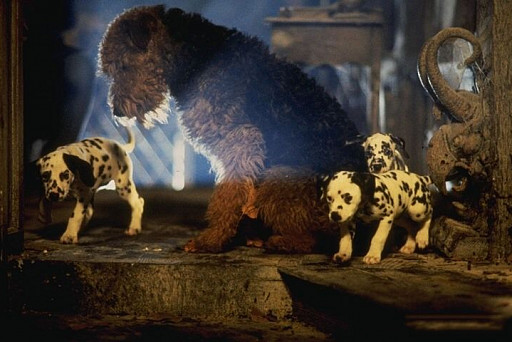 Best Dog Movies