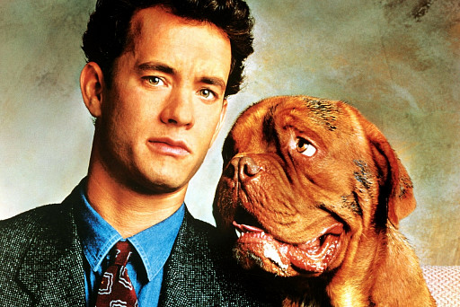 Best Dog Movies