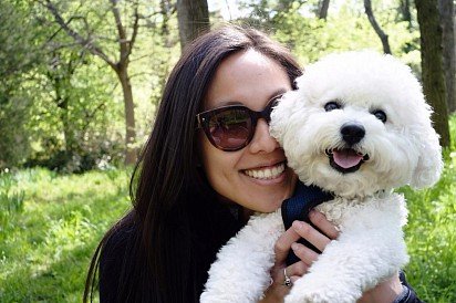 Bichon Frise puppy with favorite owner