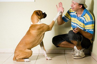 High Five! 