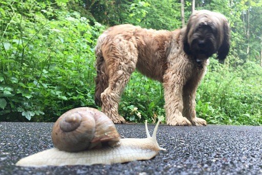 Briar sees a snail for the first time