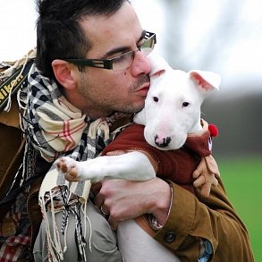 Bull Terrier