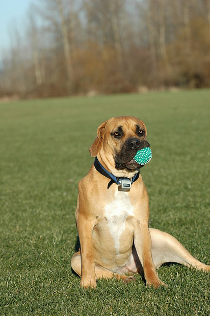 I caught the ball