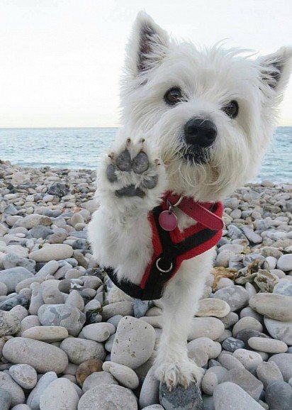 High five! 