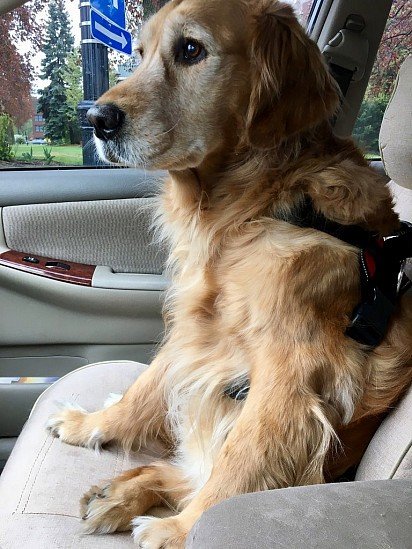 Most important passenger