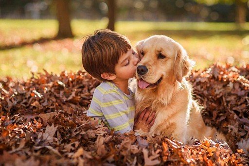 Golden Retriever with baby