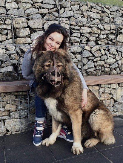 Caucasian Shepherd with Human