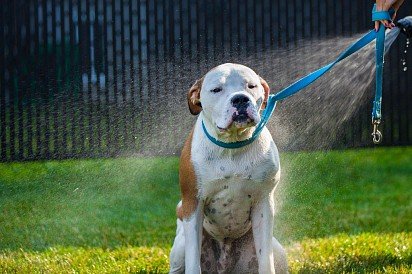 Oh, yeah! Refreshing shower