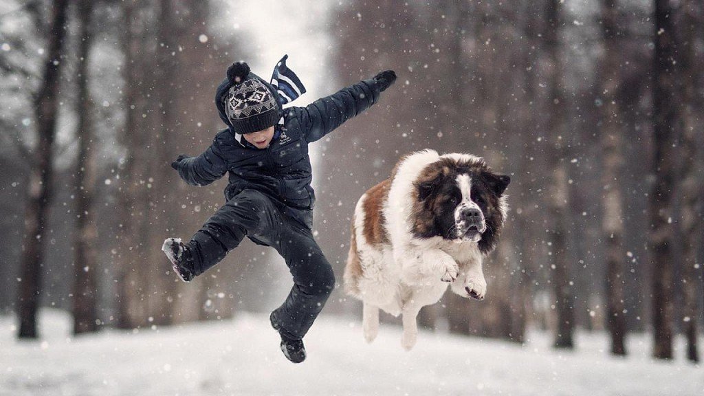 Moscow guard dog with child