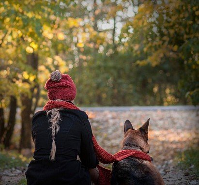 Sheepdog with owner