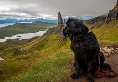 Newfoundland