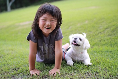 Pekingese with baby